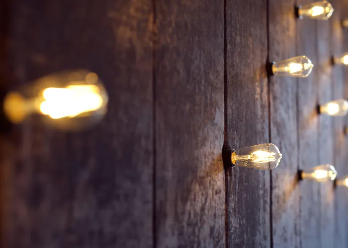 酒店 欧莉娜酒店